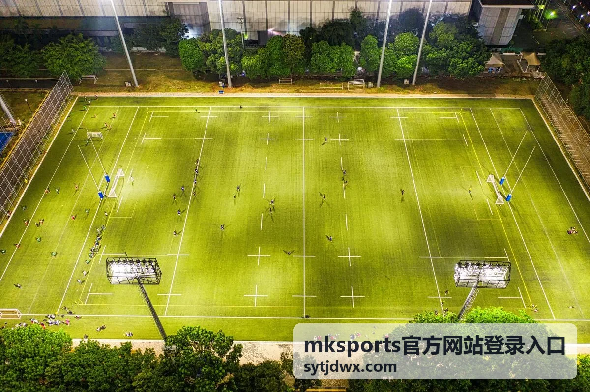 mksports官方网站登录入口 通道状态查看示意